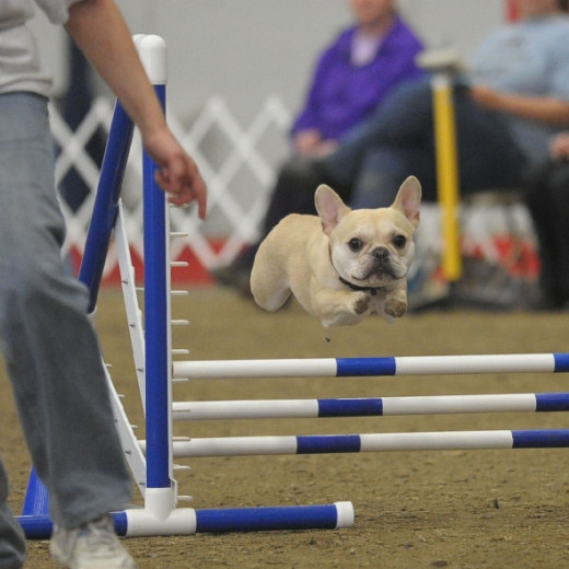 The Triple Jump