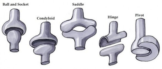 Joint Types
