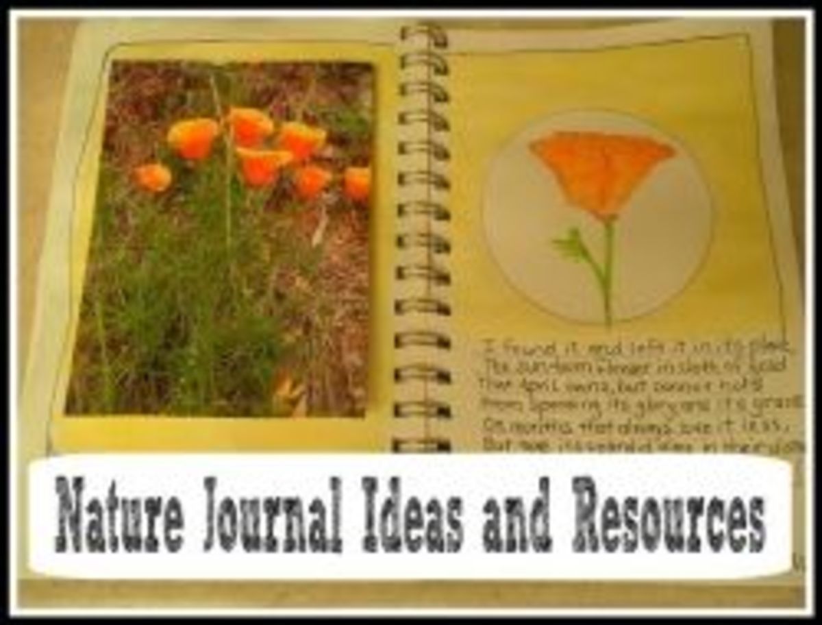 Nature Journals - Ideas and Tips | HubPages