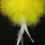 Side view of adding the feathers.