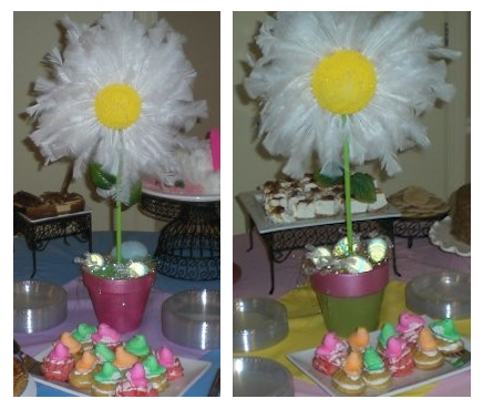 Painted Center Daisy Variation
