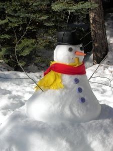Snowman keeping watch