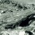 Hollow petrified tree bark, Ron believed it was the covering that Noah threw off at the end of the flood. Hollow petrified tree bark, Ron believed it was the covering that Noah threw off at the end of the flood.