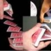 zenmagic profile image