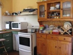 Microwave and Conventional oven. Photo Credit - Elsie Hagley