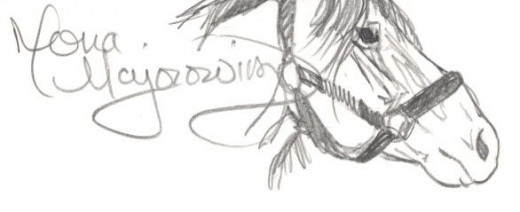 Remarque drawn by Mona Majorowicz