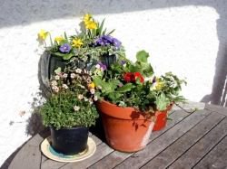 Plant pots of assorted sizes and shapes