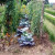 Part of the vegetable garden From Flickr http://www.flickr.com/photos/44425842@N00/sets/72157624724577793/with/6116135008/