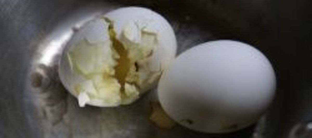 Can Eggs Really Explode? | HubPages What Happens If You Boil A Rotten Egg