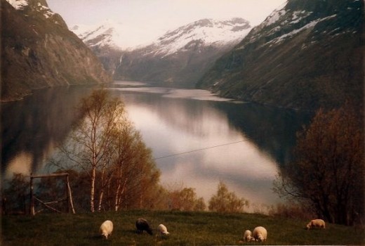 Peaceful, pastoral fjords (I believe this is along the way to Geiranger Fjord, however, I wasn't always observant to where we were when we travelled around - I was 16/17 remember - and I didn't take notes always.  Still beautiful!).