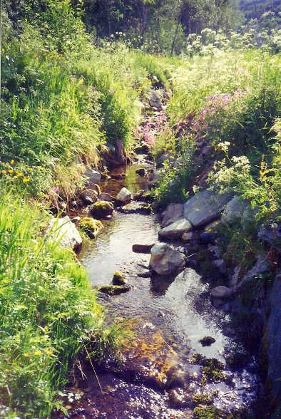 A peaceful creek in Stranda, Norway