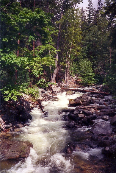 I love mountain creeks.  The power of the rushing water soothes, moves and heals me.
