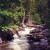I love mountain creeks. The power of the rushing water soothes, moves and heals me. I love mountain creeks. The power of the rushing water soothes, moves and heals me.