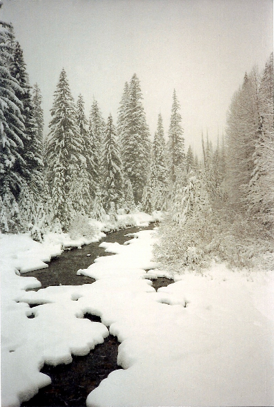 More of Railroad Creek.