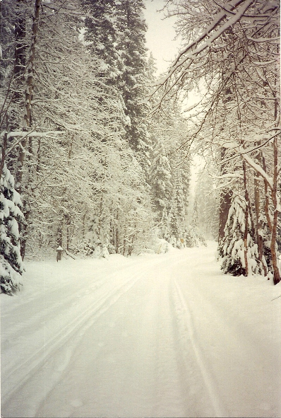 The main road in to the village.  Ah, the snow made everything so clean and quiet.