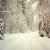 The main road in to the village. Ah, the snow made everything so clean and quiet. The main road in to the village. Ah, the snow made everything so clean and quiet.