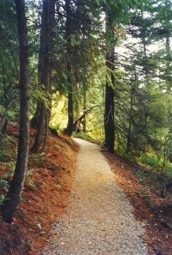 The road to beauty.