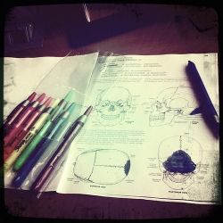 Anatomy Coloring Sheet