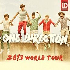 one direction tour 2013