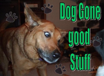 Bailey says.........