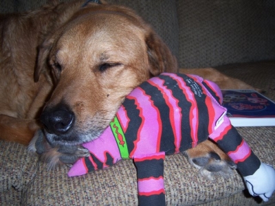 Back to Sleep Now