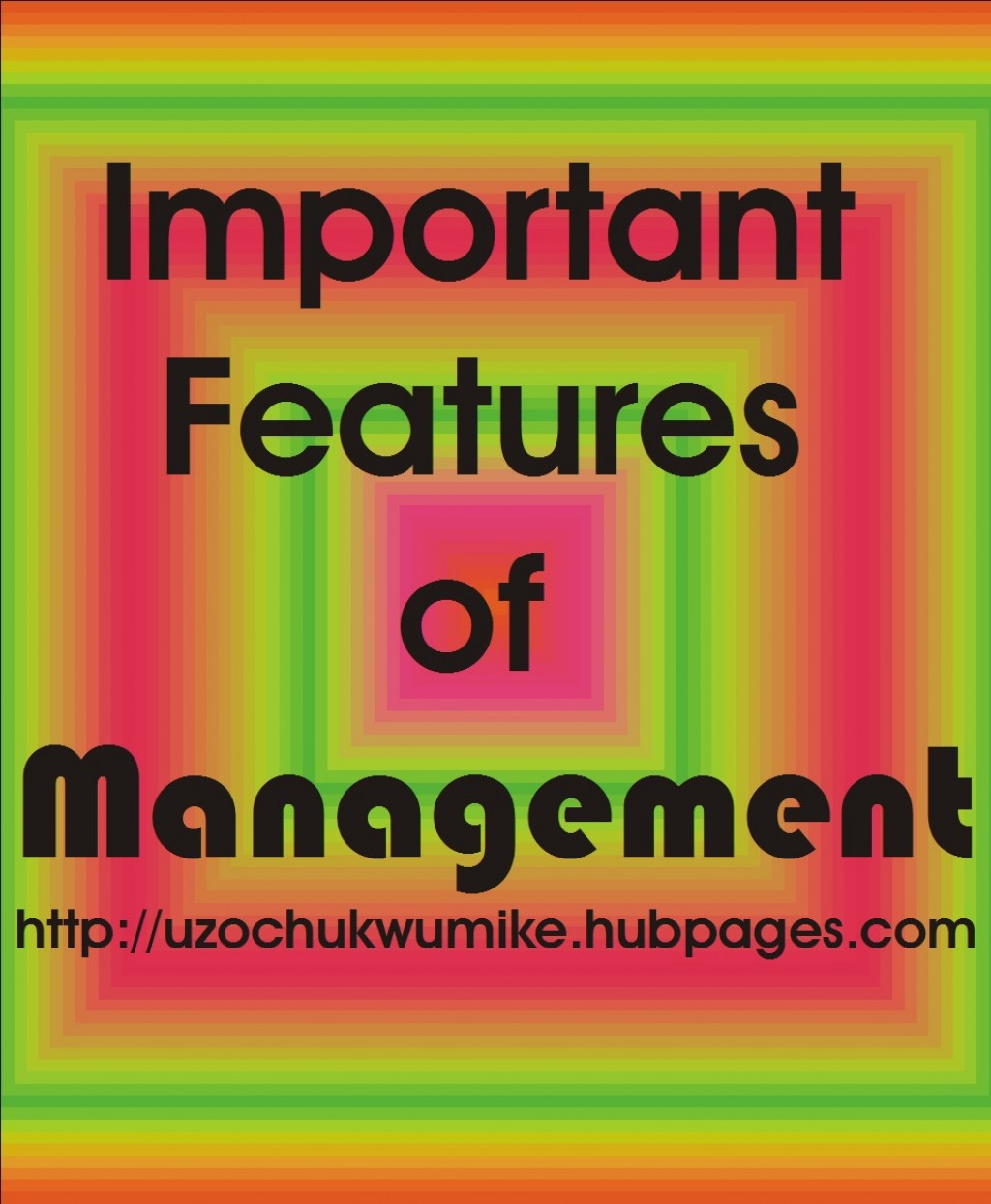 Important Features Of Management