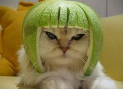 Thinking Cap