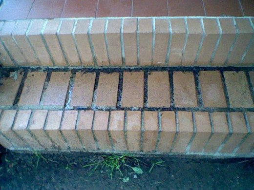Our front steps
