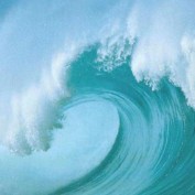 wavetowake profile image
