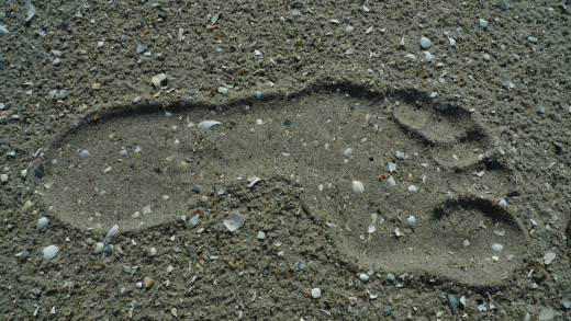 A footprint in sand is also history. What could an archaeologist tell about this person? Size? Weight perhaps? Male, female? Did he wore a spear or an Iphone? Black or white? Most of this appears to be very difficult. So, what do we actually know?
