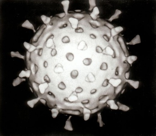 Rotavirus (Spherical)
