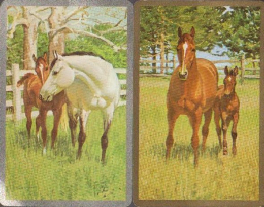 This is an older two pack that was passed down from my grandparents. Set four.