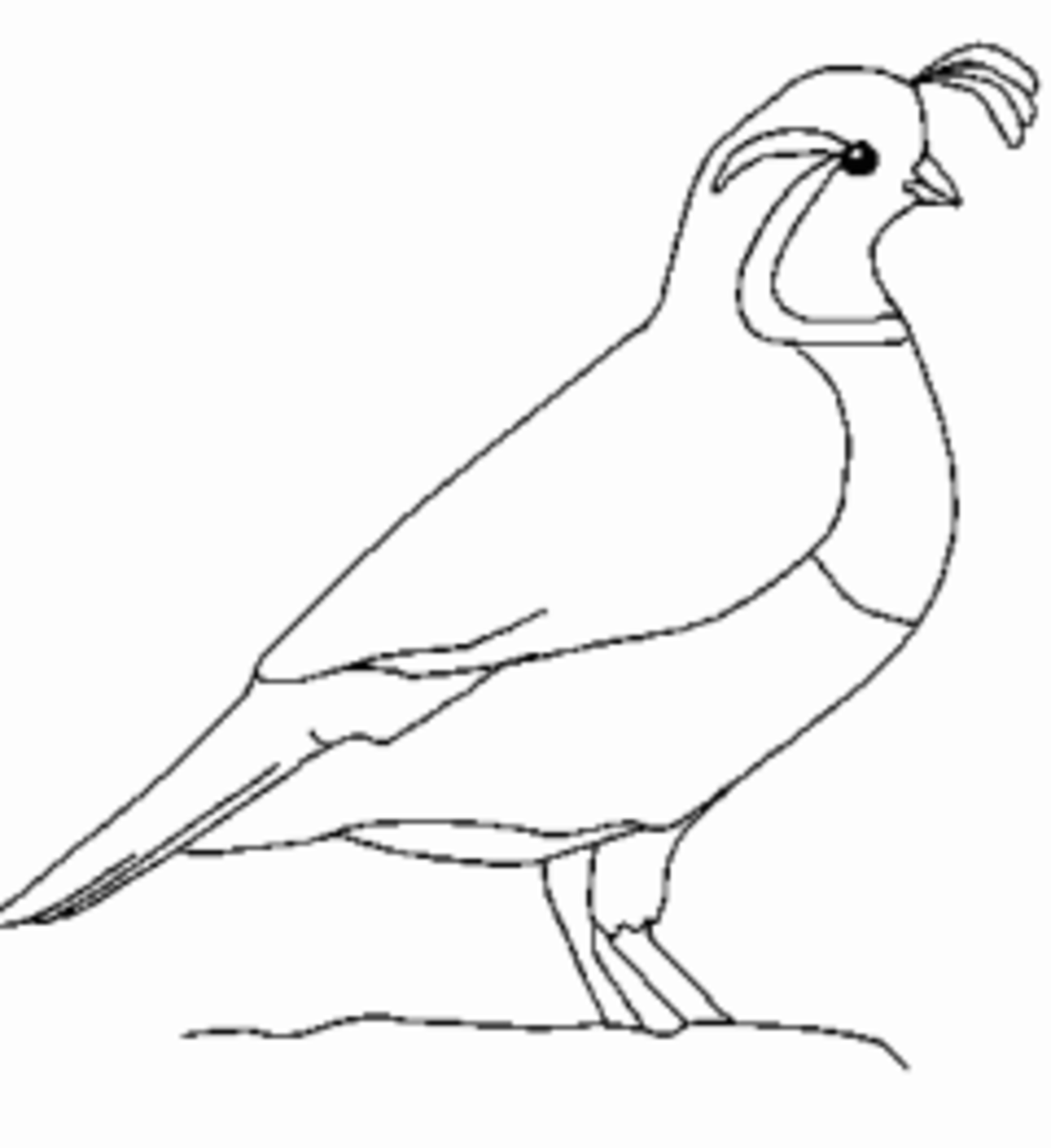 Free Online Pictures of Birds to Color for Adults and Kids | hubpages