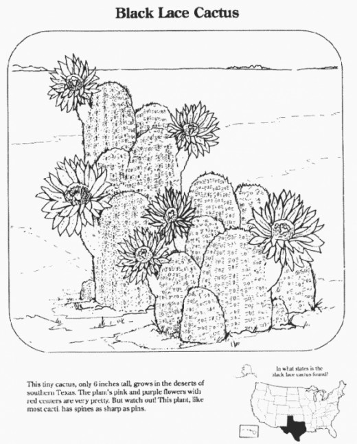 Free Desert Coloring Pages and Sheets and Things About the Desert