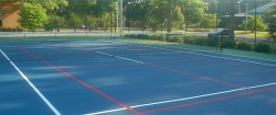 Pickleball Court