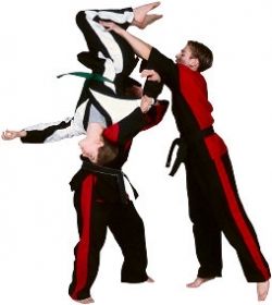 Sport Aikido