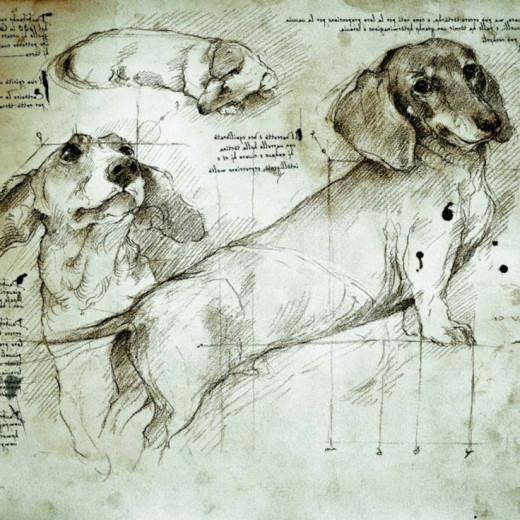 The best drawings of animals by famous artists hubpages