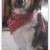 "Yes ma'am...how may I serve you, ma'am?" (but not so sure about the bandanna. She chewed it later. "Yes ma'am...how may I serve you, ma'am?" (but not so sure about the bandanna. She chewed it later.