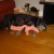 Cuddled up with her pink rabbit Cuddled up with her pink rabbit
