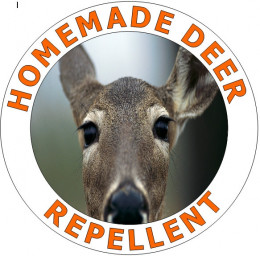 How To Deer Proof Your Garden