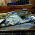 fold the newspaper with the waste and easy remove fold the newspaper with the waste and easy remove