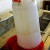 the waterer -- is 20 cm high and two litres of water can be left for the quails the waterer -- is 20 cm high and two litres of water can be left for the quails