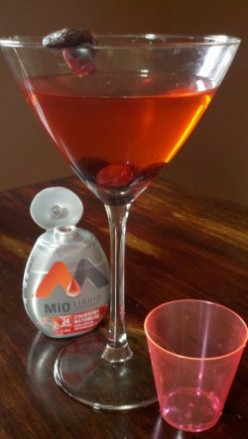 Mix Low Cal Party Drinks With MIO & Home-Made Vanilla Vodka (Vegan, Gluten-Free)