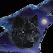 plasticmortal profile image