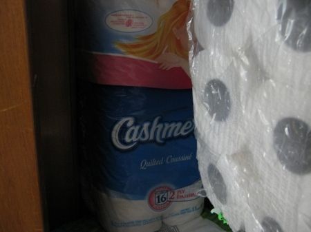 Cashmere toilet paper -- the practical item on my list.