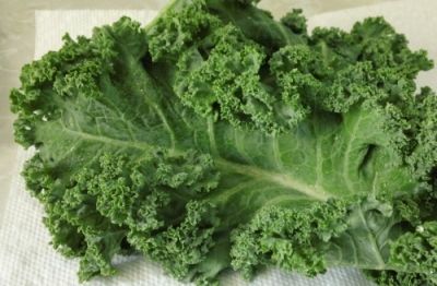 The Beauty of Kale