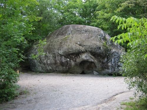 Ta da! Here is the boulder. Kind of looks like the "brain bug" from Starship Troopers.