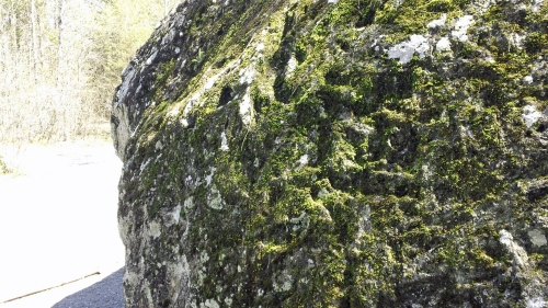 Moss on lower right side of boulder.