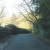 Narrow road in The New Forest Narrow road in The New Forest