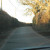 Narrow road in The New Forest Narrow road in The New Forest